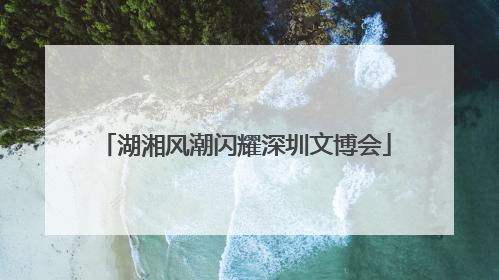 湖湘风潮闪耀深圳文博会